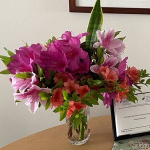 Meet your Posher, Louis